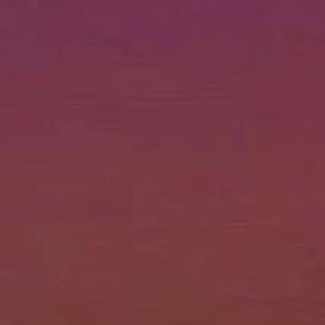 Meet your Posher, Natasha